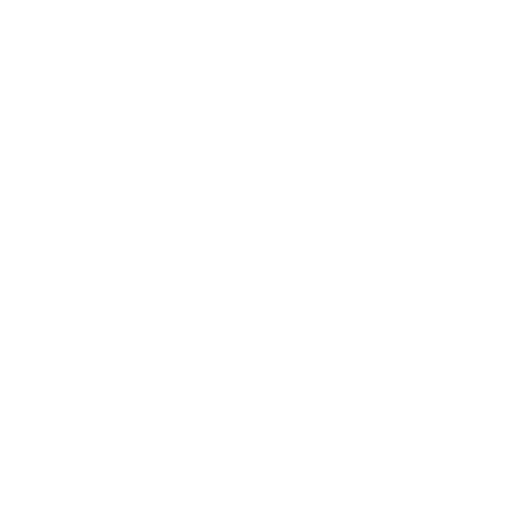 coche